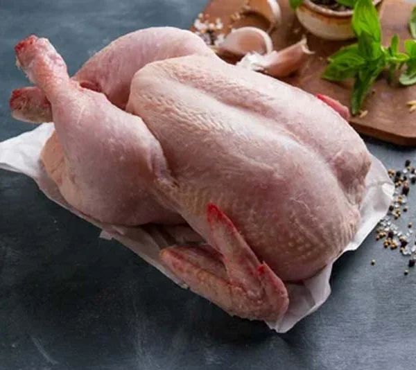 مرغ و طیور تازه
